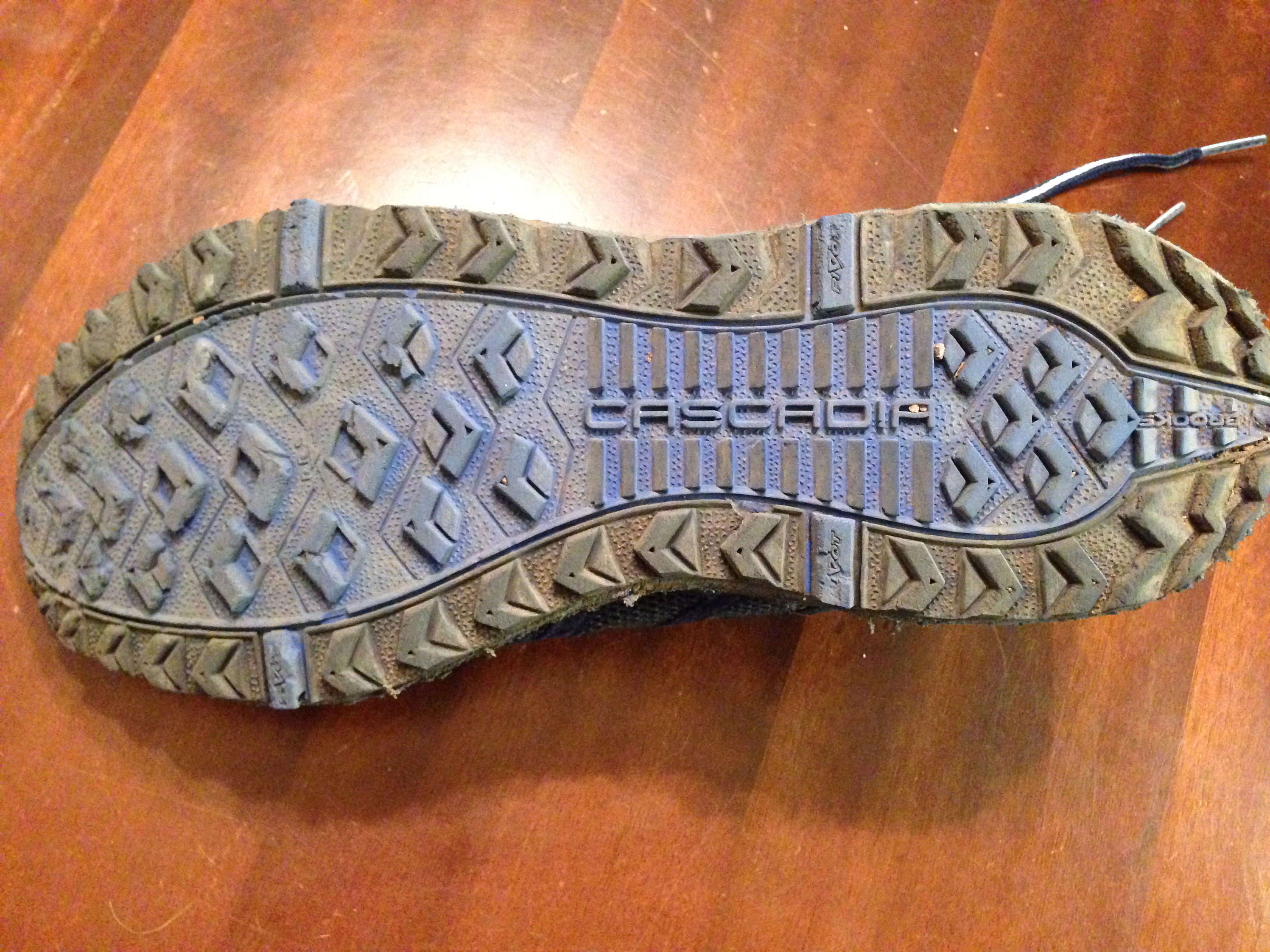 Review Brooks Cascadia 9 Trail Running Shoe Exploring the Rockies