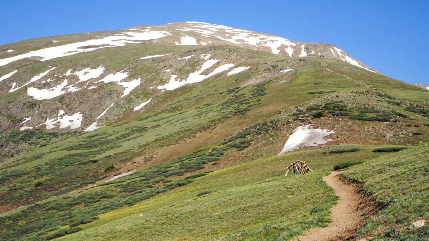 Mt. Elbert Trail Run Loop | Exploring the Rockies